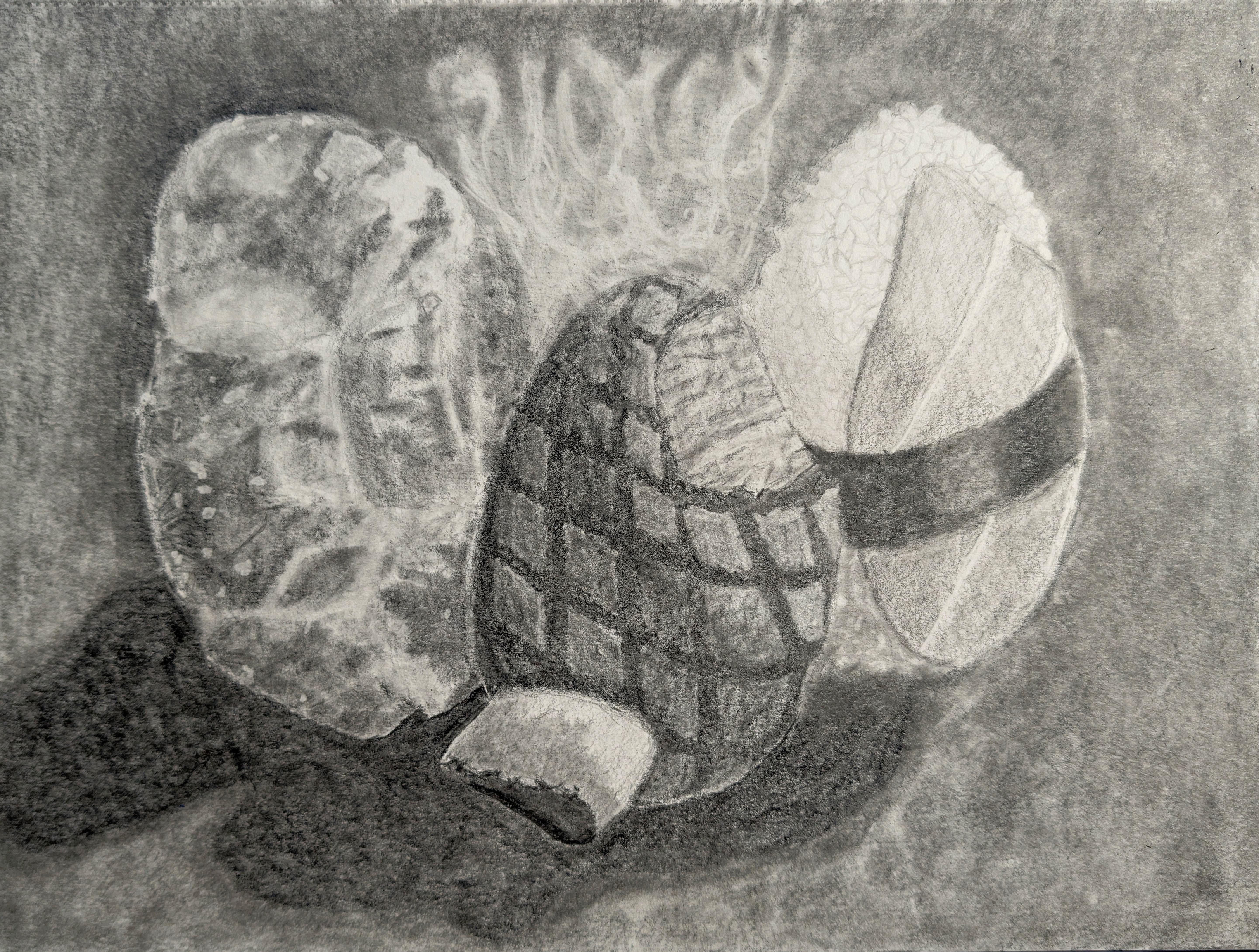 FOUN 111 | Egg Study